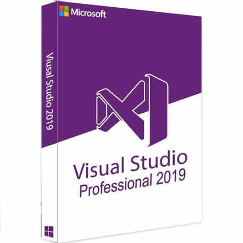 Microsoft Visual Studio 2019 Professional 2